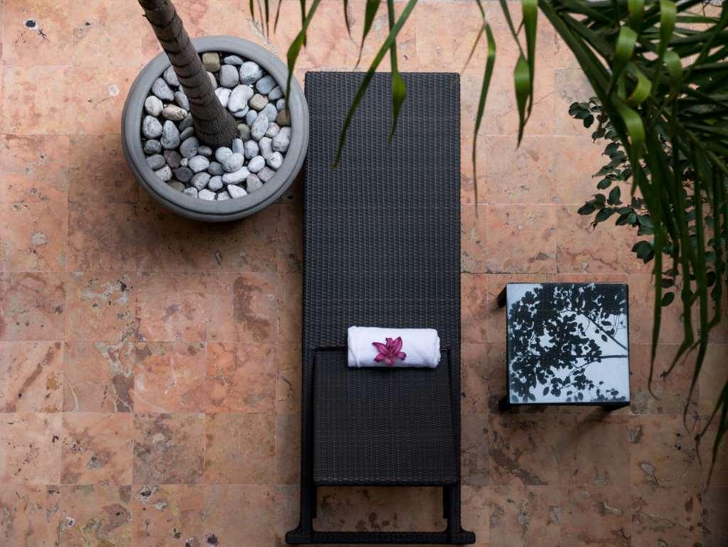 Dominion Polanco Otel Meksika Konforlar fotoğraf