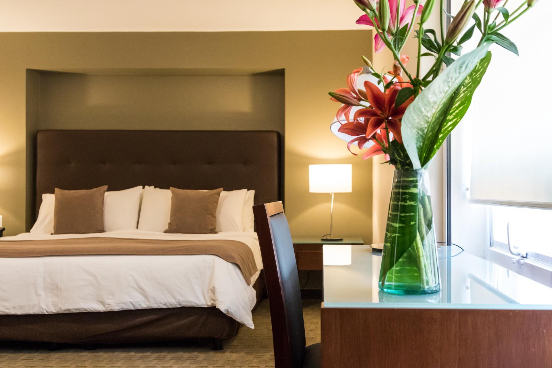 Dominion Polanco Otel Meksika Dış mekan fotoğraf