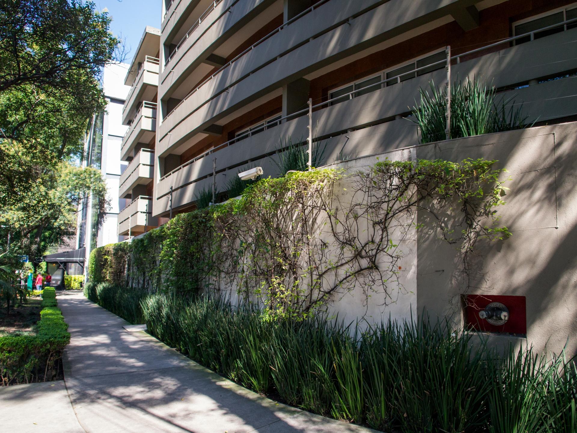 Dominion Polanco Otel Meksika Dış mekan fotoğraf